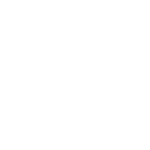 frozen products packing machine